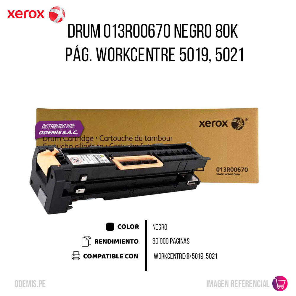 Drum 013R00670 Negro 80K Pág. WorkCentre 5019, 5021 original