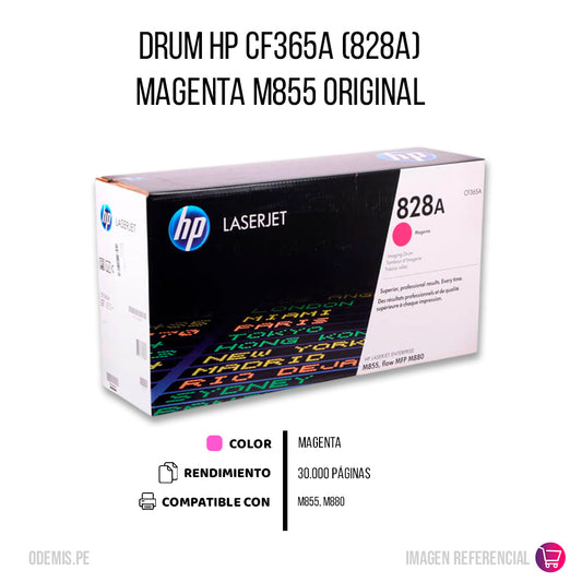 Drum Hp Cf365A (828A) Magenta M855 Original
