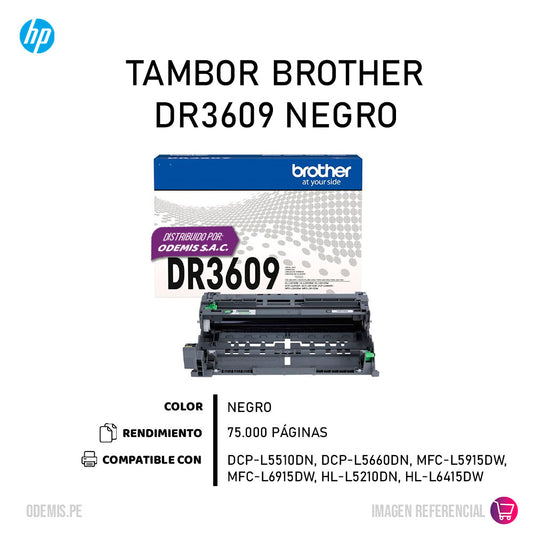 Tambor Brother Dr3609 Negro 75K Pág. DCP L5660DN Original