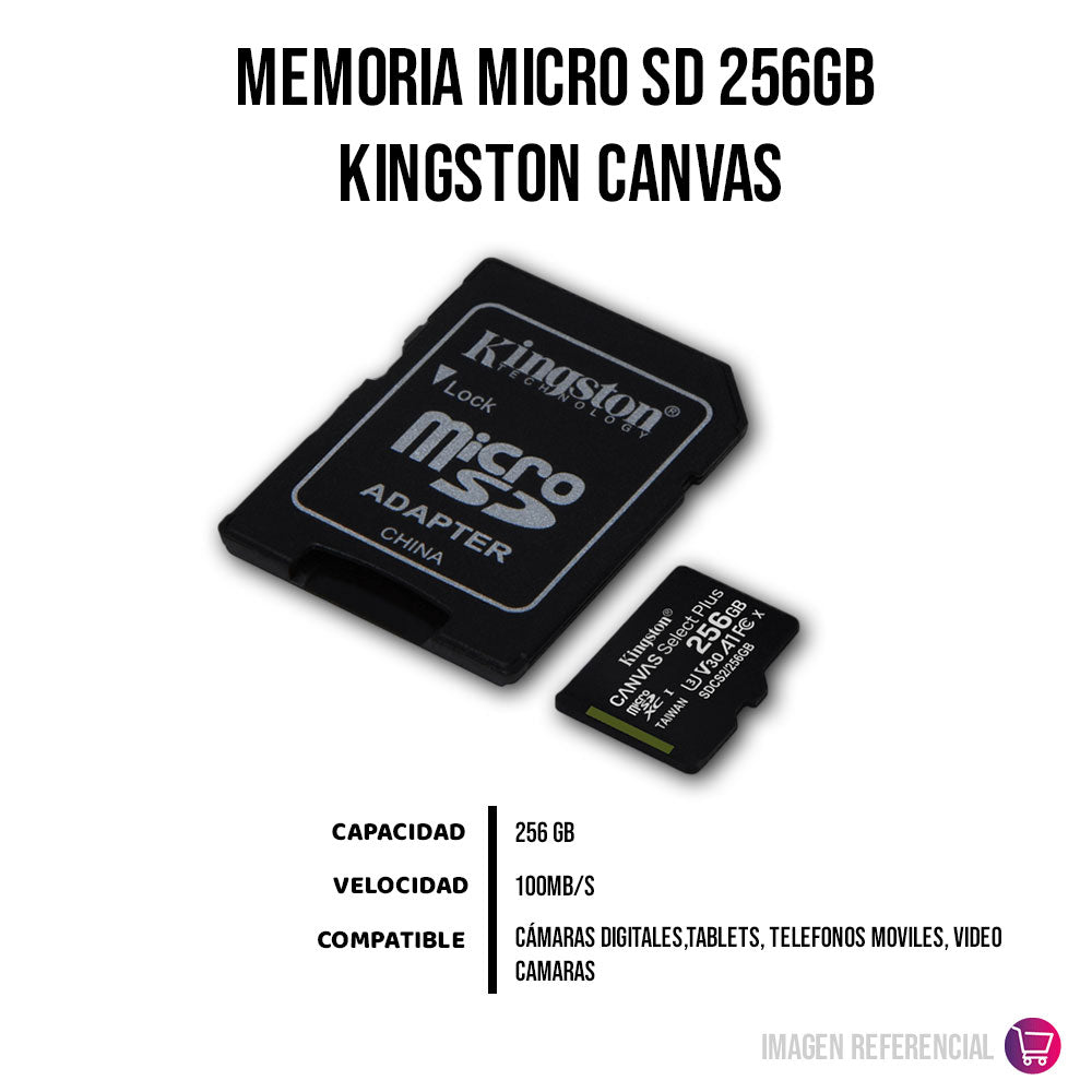Memoria SD Kingston 256GB Canvas Select Plus Original